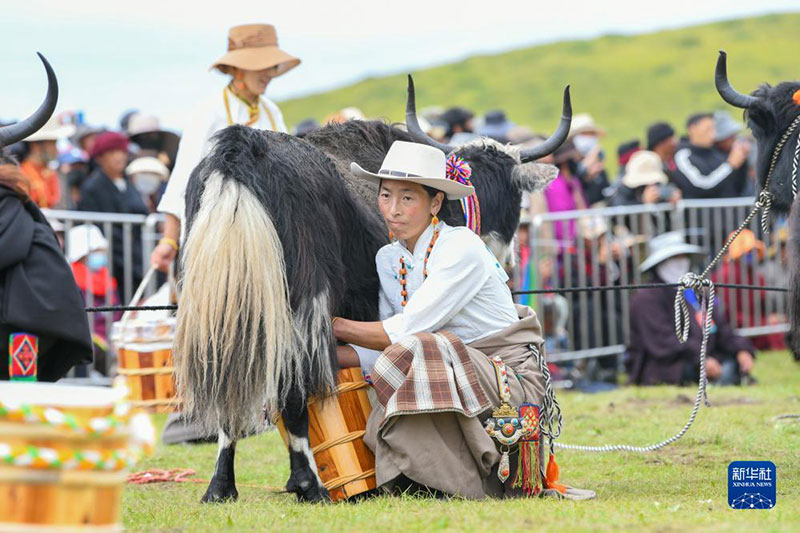 ༄༅།།འོ་མ་བཞོ་བའི་འགྲན་བསྡུར་སྤེལ། 